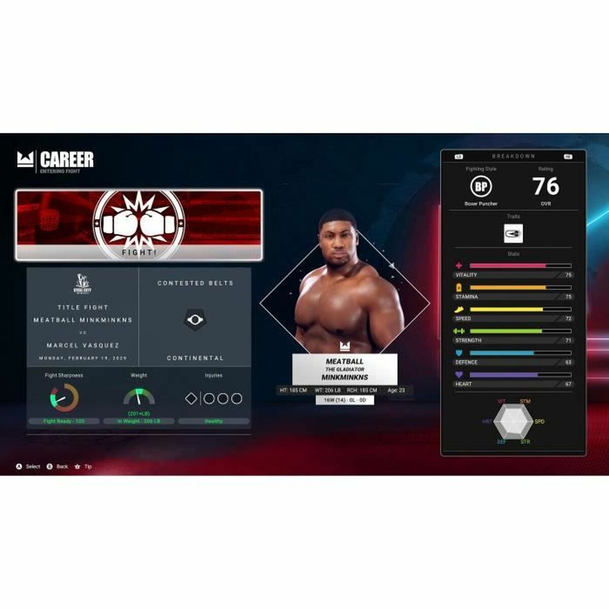 Xbox Series X videogame Deep Silver Undisputed
